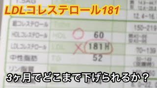 【新企画発表】LDLコレステロールを下げる【チャレンジ】3ヶ月でどこまでやれるか？ [upl. by Llerdnek]