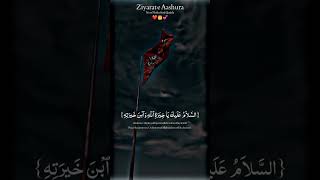 zyarat e Ashura [upl. by Lyndy10]