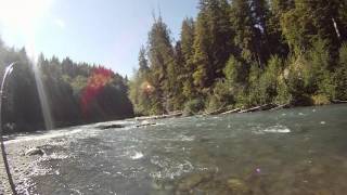 Hoh River Summer Steelhead [upl. by Lazare54]