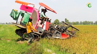 Best Activities Safety Operator Harvester Kubota Working Skills Cropping Rice Machinery Equipment [upl. by Siurtemed425]