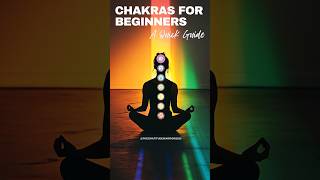 CHAKRAS for BEGINNERS – A Quick Guide [upl. by Luebke]