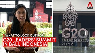 G20 Leaders Summit in Bali Indonesia What to look out for [upl. by Aiciles]