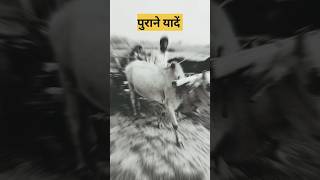 गांव की कुछ पुराने यादें Old song old video ✅✅🛖viralclips viralshort 😭😭viralvideo very very old [upl. by Ainahtan]