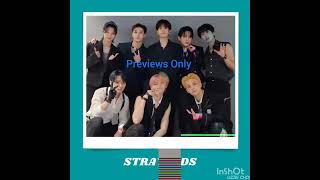 Levanter HardTek ReMix Stray Kids DJ RM Demo Only trending jyp 2023 disco [upl. by Soisinoid]