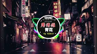 🎧全中文DJ舞曲夜店混音舞曲串烧 2024 🎼 酒吧最火DJ舞曲 🔥En  妥协 \ 阿冗  你的答案 刘瑾睿  若把你  仗著  陳壹仟 [upl. by Imas217]