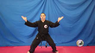 Kempo Karate  Ten Point Blocking [upl. by Attlee]