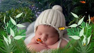 Soothing Baby Sleep Lullaby 🌙 Gentle Melodies for Restful Nights lullaby peacefulsleep mozart [upl. by Torp]