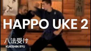 Kukishin Ryu Happo uke 2 Daken Taijutsu basic blocking sequence [upl. by Anneiv]