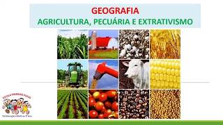 Agricultura Pecuária e Extrativismo [upl. by Homans263]