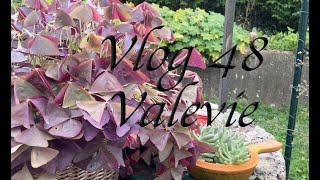 vlog 48 le jardin au dodo test colo cheveux et bla bla bla [upl. by Eivlys]