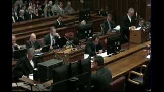 Oscar Pistorius Trial Monday 30 June 2014 Session 1 [upl. by Dagley]