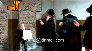 Beis Chaim Shia Rebbe Davening In Dinov Elul 5772 [upl. by Harima]