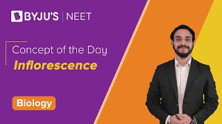 Inflorescence  BIOLOGY  NEET  Concept of the Day  Pushpendu Sir [upl. by Crescin]