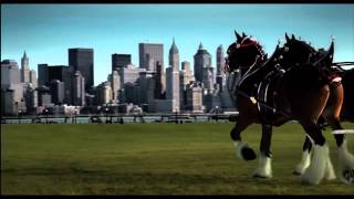 Budweiser 911 Tribute Superbowl Commercial Clydesdales IN HD [upl. by Claudette]