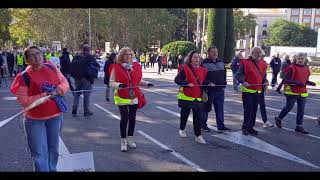 El movimiento pensionista exige PENSIONES DIGNAS y PÚBLICAS en Madrid [upl. by Arianne]