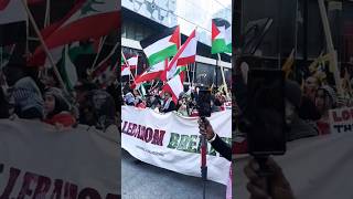 peacefulprotest aroundtheworld united humanity pelestine lebanon yemen youtube foryou duet [upl. by Aric]