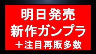 『月曜に新作発売』明日発売の新作MGガンプラ情報。※販売に関する注意点有。明日は注目ガンプラ再販多数。さらにベースに動き有。入場に関する注意点も。6月再販最新情報も。 [upl. by Samid]