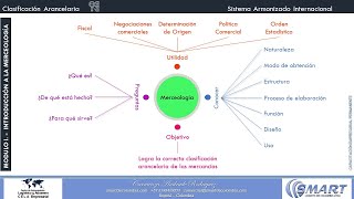 CLASIFICACIÓN ARANCELARIA [upl. by Tamsky]