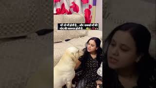 Dog love ❤️ maa to maa hoti hy doglover labr shortsvideo labra youtubeshorts viralshort [upl. by Kattie]