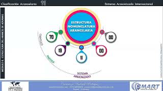 NOMENCLATURA ARANCELARIA [upl. by Derte]