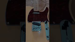 GUITARRA TELECASTER GM 385N [upl. by Ryley]