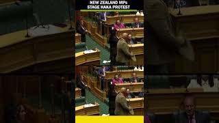 New Zealand MPs stage haka protest against parliamentNewZealand HakaProtest Parliament [upl. by Gainor]