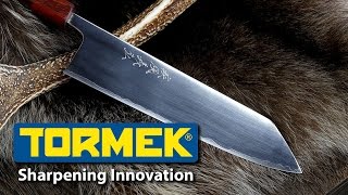 WorkSharp Killer 3  Tormek T8 Knife Sharpener  FULL REVIEW [upl. by Eynenihc]