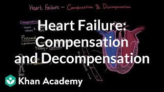 Compensation and decompensation in heart failure  NCLEXRN  Khan Academy [upl. by Aimik]