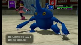 Pokemon Colosseum Double Battle Umbreon Ursaring Feraligatr Typhlosion vs Swellow Ninjask Heracross [upl. by Zerk]