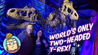 Unveiling of the Worlds Only Two Headed TRex Unbelievable Collection of Sideshow Performers [upl. by Nolyak]