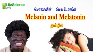 Melanin and Melatonin in Tamil  LIFESCIENCE TAMIL  TRB ZOOLOGY  TNSET  TNPSC  NEET [upl. by Sanez]