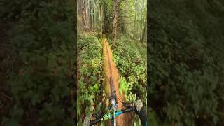 The Sooke Flowline A fun way to traverse through the Vancouver Island rainforest 🌿 mountainbike [upl. by Kliber360]