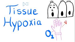 Tissue Hypoxia  Respiratory Physiology amp Pathology  Pulmonary Medicine [upl. by Sevein]