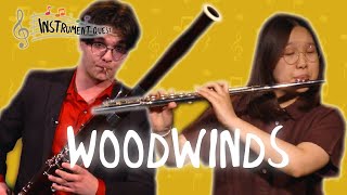 What are woodwind instruments [upl. by Alracal]