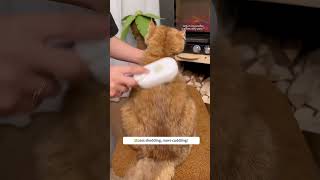 😻🧼Less shedding more cuddling Our Pet Automatic Spray Hair Remover is a gamechanger [upl. by Surovy]