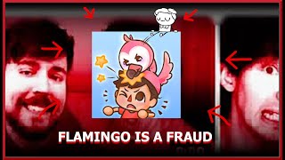 FLAMINGO ALLIGATIONS THE HORRORS REVEALED [upl. by Deadman104]