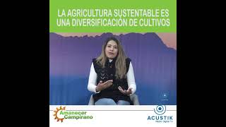 LA AGRICULTURA SUSTENTABLE ES UNA DIVERSIFICACIÓN DE CULTIVOS [upl. by Nosrej295]