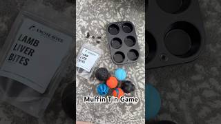 Muffin Tin Mental Stimulation Game for Dogs [upl. by Assylem857]