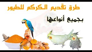 فوائد الكركم التومريك للطيور وطريقة تقديمه للطيور [upl. by Berkie]