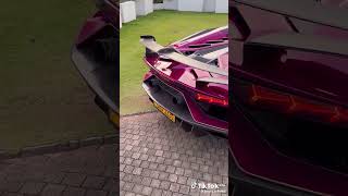 Avenra Garden LAMBORGHINI 🎃 autosl subscribe avenragarden lamborghini nos racing viralshort [upl. by Ettenrahs531]