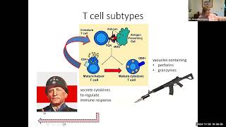 hbio15f T cells and cellmediated specific immunity 17 min [upl. by Cela577]