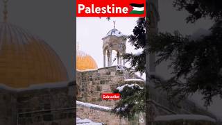 Palestine 🇵🇸❤ shorts youtubeshorts palestine [upl. by Madalyn]