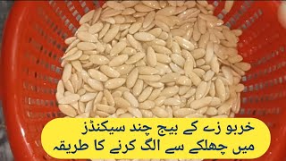 How To Wash And Peel Melon Seeds In Seconds [upl. by Teerprah]