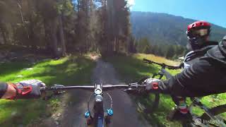 MTB  Pegrà Flow Trail  Bike Park Ponte Di LegnoTonale  Val di Sole 19082023 [upl. by Eastlake]