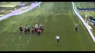 Man Runs Onto Horse Track To Race Horses [upl. by Masterson]