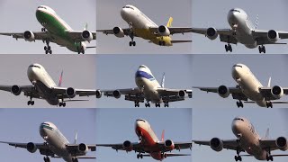 160320 成田国際空港（成田空港） 飛行機の着陸進入シーン Final Approach Scene of Various Airliners at Narita Intl Airport [upl. by Kindig]