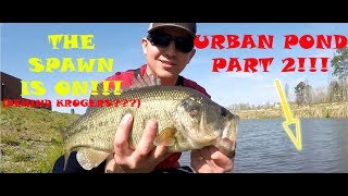 Fishing for Bass behind a Krogers Urban Pond Pt2 [upl. by Iy]