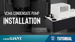 Little Giant VCMA Condensate Pump Installation [upl. by Stanwinn571]