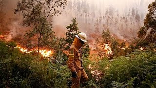 Waldbrand in Portugal So hilft Europa [upl. by Phelps899]