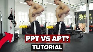 Posterior Pelvic Tilt VS Anterior Pelvic Tilt Ι Beginners Guide [upl. by Niawtna]